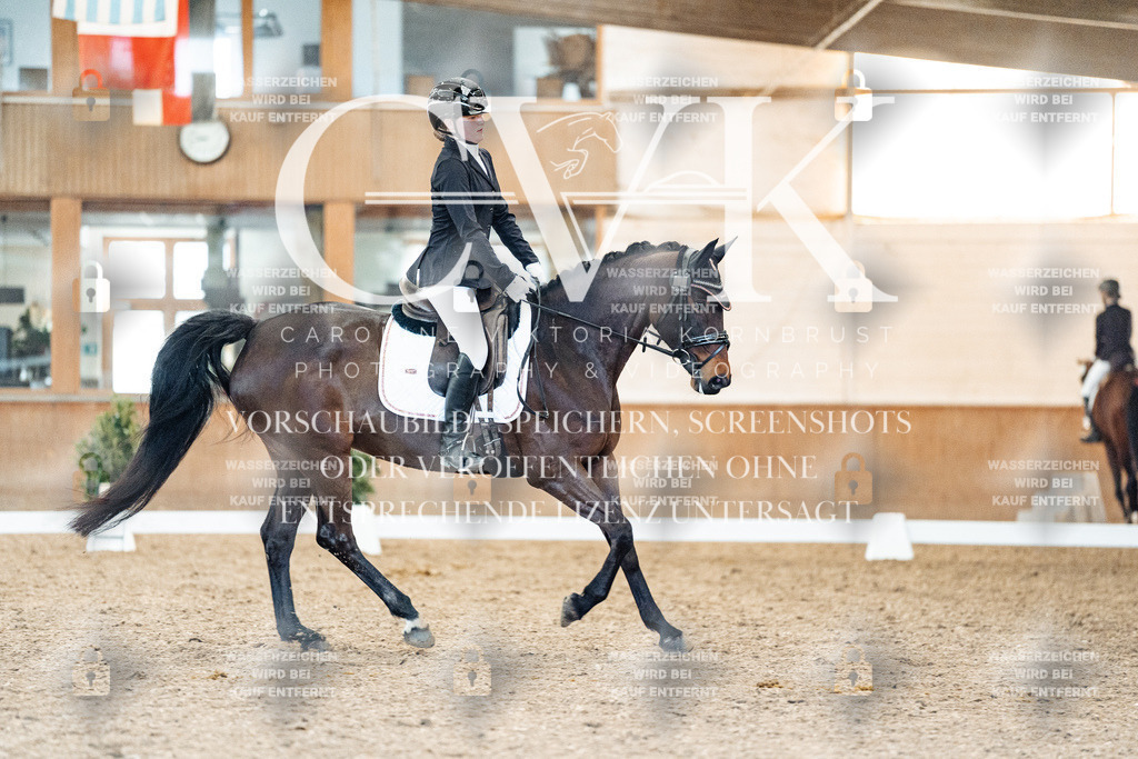 CK907996 | Turnierfotografie Pferdefotografie Trier Rheinland-Pfalz Pferdesport Reitsport Tierfotografie Sportfotografie Pferdevideo Pferdevideografie Equestrianvideography equestrianphotography  - Realisiert mit Pictrs.com