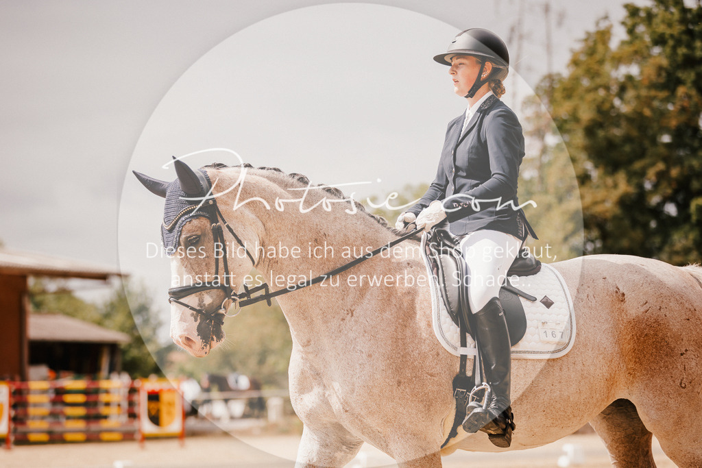 3I6A6167 | Stimmungsvolle Portraits und Reitsportfotografie im Ruhrgebiet und im Münsterland.

Pferdefotografie, Hundefotografie, Tierfotografie, Reportagen, Portraits von Tier und Mensch, Turnierfotografie in Bochum, Recklinghausen, Marl, Haltern am See, Dülmen.. - Realisiert mit Pictrs.com