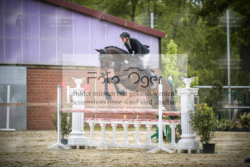 DOS_6090 | Entdecke hochwertige Reitturnierfotos von Foto Oger. Professionell, emotional und authentisch – jetzt Lieblingsmomente im Shop bestellen.Deutschlandweite Turnierfotografie. - Realisiert mit Pictrs.com