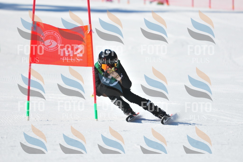 C3811 | holidayphoto