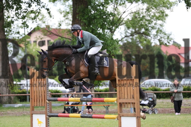 Hambrücken_2025_Prfg.Nr.07_Springpferdeprüfung_Kl.L_Ulrich Burger_Cocayne (7) | Alle Fotos der Reiterjournal Fotografin Doris Matthaes im Reiterjournal Online-Fotoshop. - Realizzato con Pictrs.com