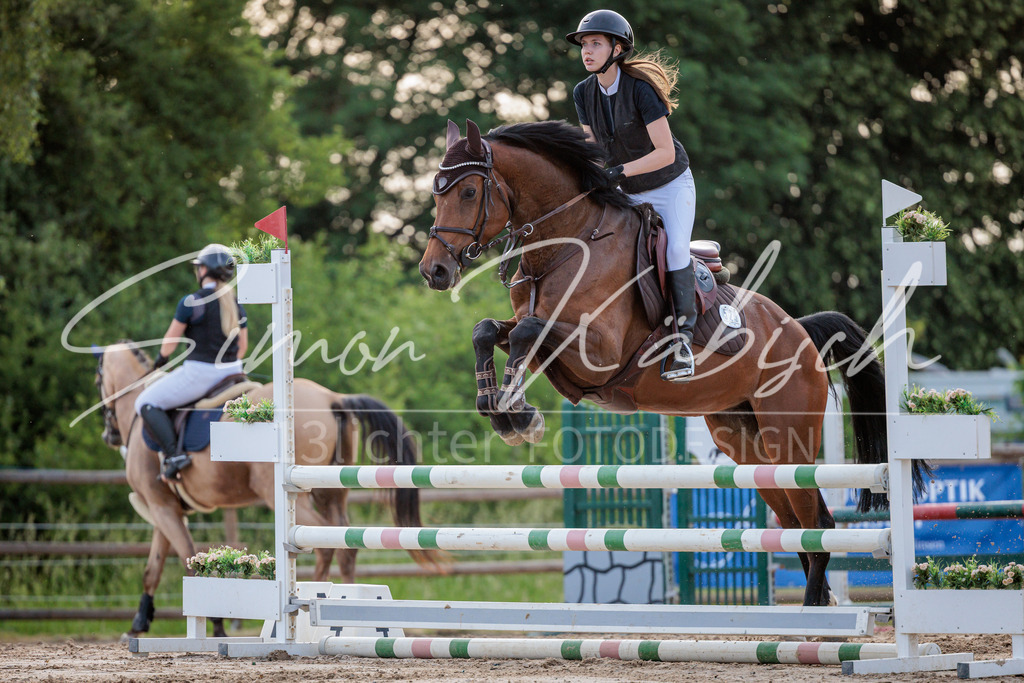 20260529-_3LI1487 | Tierfotografie Pferde, Hunde, Katzen, Haustiere.
Turnierfotografie Reitturniere, Reiten, Springreiten, Dressur in Hanau, dem Main-Kinzig-Kreis und dem Rhein-Main- Gebiet um Frankfurt
