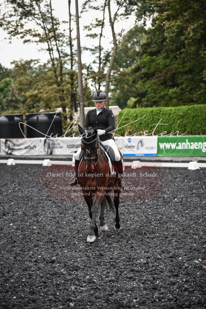 DSC_4872 | Pferde- und Turnierfotografie in Westsachsen. Pferdeportraits, Auftragszeichnungen und intuitive Kunst.
