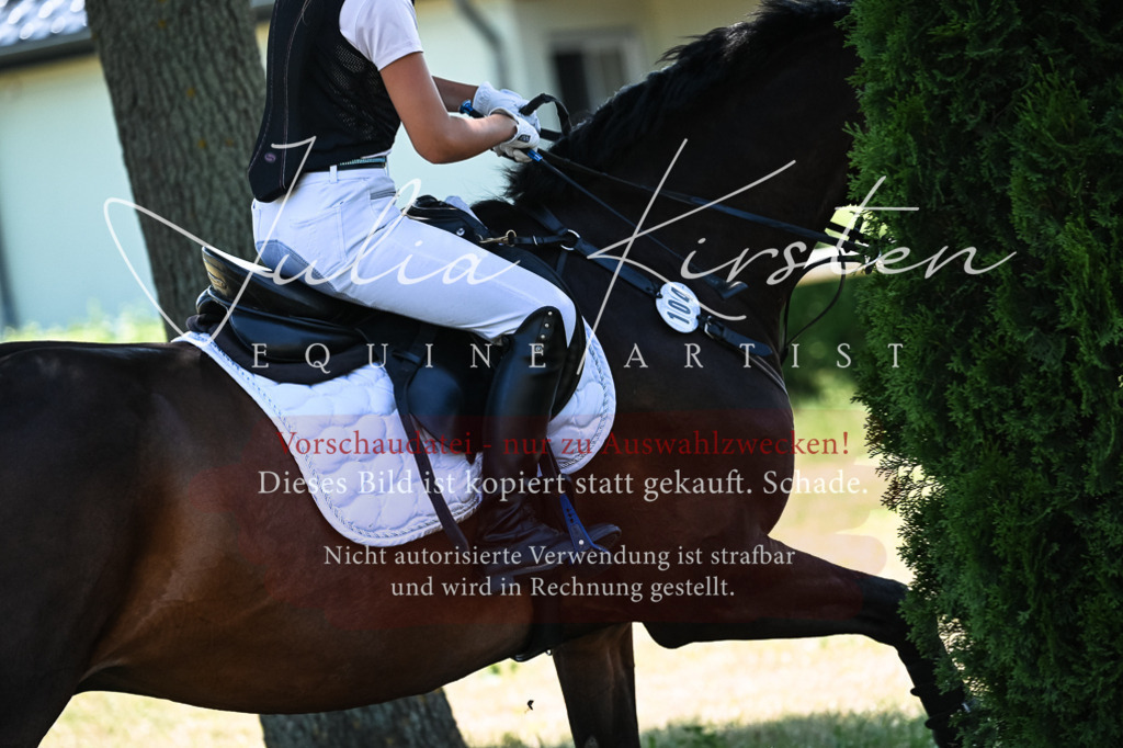 DSC_0516 | Pferde- und Turnierfotografie in Westsachsen. Pferdeportraits, Auftragszeichnungen und intuitive Kunst.