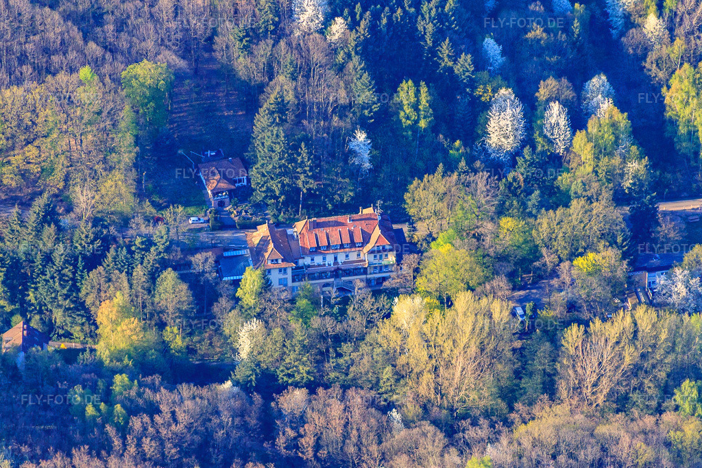 Luftbild: EW Villa Medica Germany in Edenkoben im Bundesland Rheinland-Pfalz in Deutschland. Foto: IMG_56674.jpg vom 25.04.2013 durch Werner Riehm/FLY-FOTO.decurrently INACTIVE
