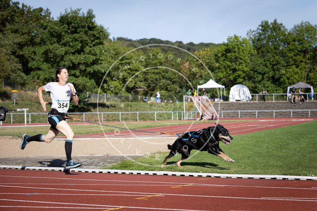 Pfotenfotografie_DV3A0021 | Hundefotografie, Tierfotograf, Pfotenfotografie, Fotoshooting Hund, Hunde Portrait, Hundesport, Hundeportraits, Heideshooting, Hunde, Sportfotograf, Hundefotograf, Turnierhundsport, THS,  - Realisiert mit Pictrs.com