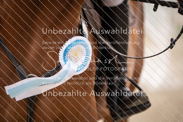 SD_OES26_09794 | saradresslerfotografie - Realisiert mit Pictrs.com