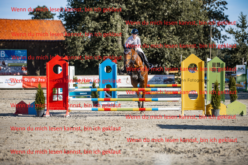 BK1A7686 | Turnierbilder Turnierfotos Nina Hüffmann Turnierfotografie Pferdefotografie Tierzeichnung Haustierzeichnung Pferdezeichnung Hundezeichnung Videograf  - Realisiert mit Pictrs.com