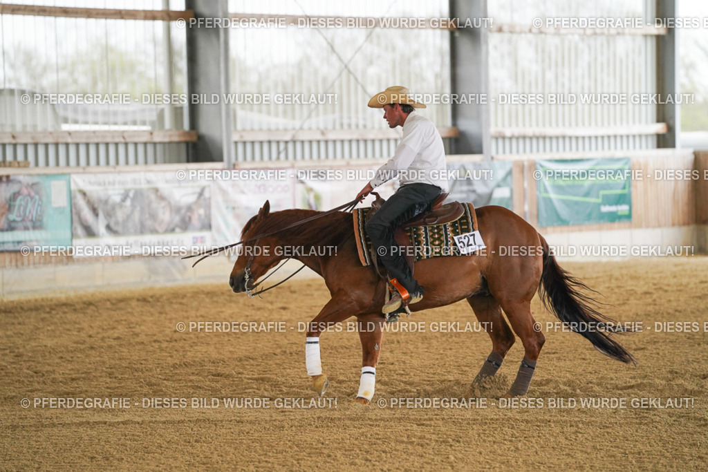 DSC07577 | Pferdegrafie