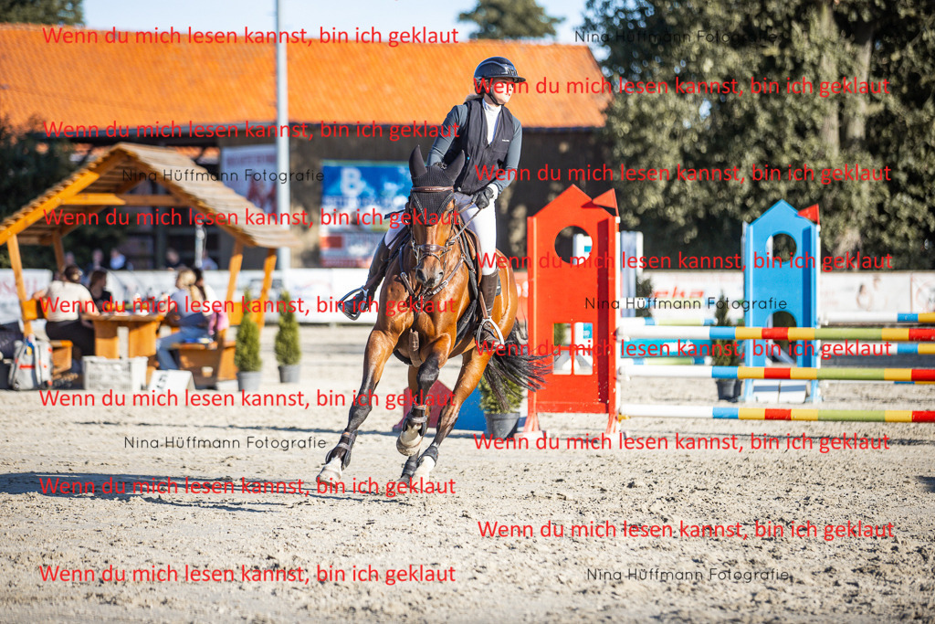 BK1A7821 | Turnierbilder Turnierfotos Nina Hüffmann Turnierfotografie Pferdefotografie Tierzeichnung Haustierzeichnung Pferdezeichnung Hundezeichnung Videograf  - Realisiert mit Pictrs.com