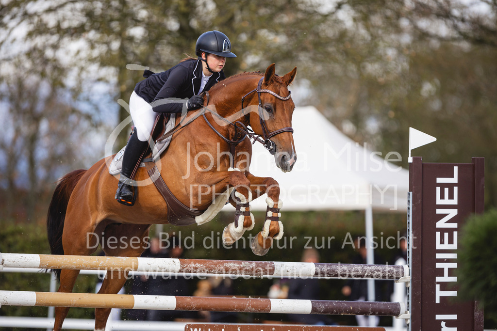 240424_Lemwerder_Stil-L-220 | Deine schönsten Turniermomente als professionelle Fotos! Entdecke hochwertige Pferdesport-Fotografie im Online-Shop. Jetzt Fotos finden & bestellen!