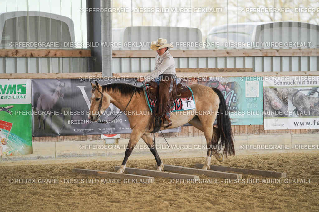 DSC01791 | Pferdegrafie