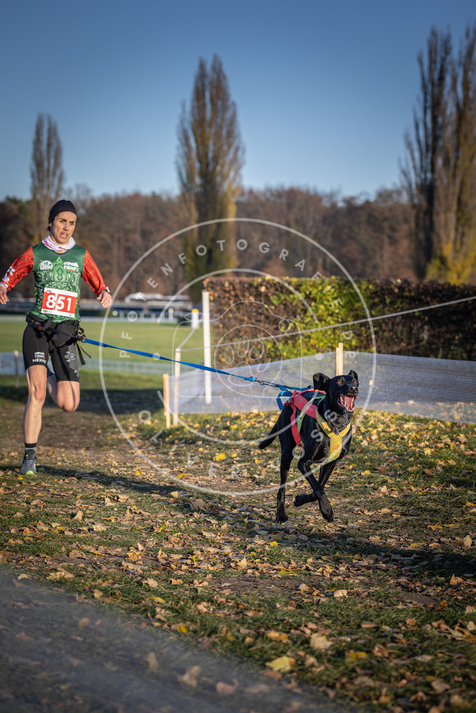 CaniXpix_DV3A3887 | Hundefotografie, Tierfotograf, Pfotenfotografie, Fotoshooting Hund, Hunde Portrait, Hundesport, Hundeportraits, Heideshooting, Hunde, Sportfotograf, Hundefotograf, Turnierhundsport, THS,  - Realisiert mit Pictrs.com