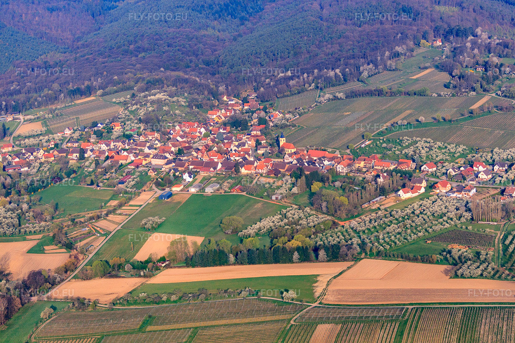 Vue aérienne: Vue de la ville depuis le sud-est à Rott dans le département Bas Rhin, France – .Photo: IMG_63661.jpg prise le 30/03/2014 par Werner Riehm/FLY-FOTO.eu – Résolution de l'original: 4752 x 3168 px