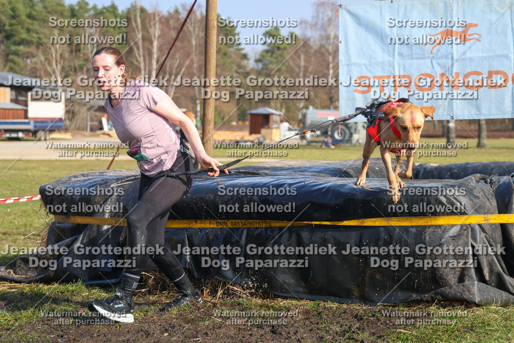 Dog Paparazzi - Strongdog North Mrz26-2722 | Dog Paparazzi Jeanette Grottendiek Fotografie & Videografie - Realisiert mit Pictrs.com