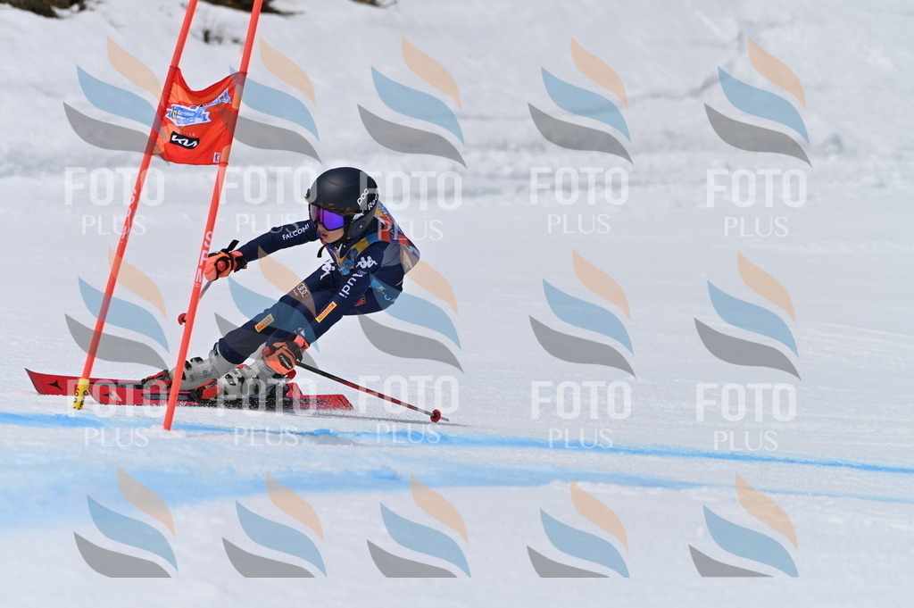 BGV_4901 | holidayphoto