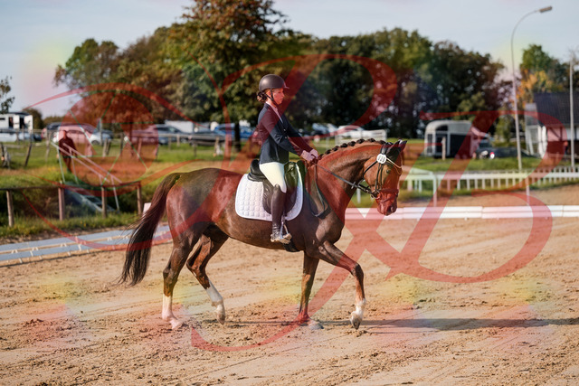 2026_10_03_Siefer-Hof_114721_Z63_25884844 | Professionelle Reitsport-, Turnier- und Eventfotografie von Robert Broda. Galerien mit ausgewählten und bearbeiteten Bildern direkt online ansehen und bestellen.