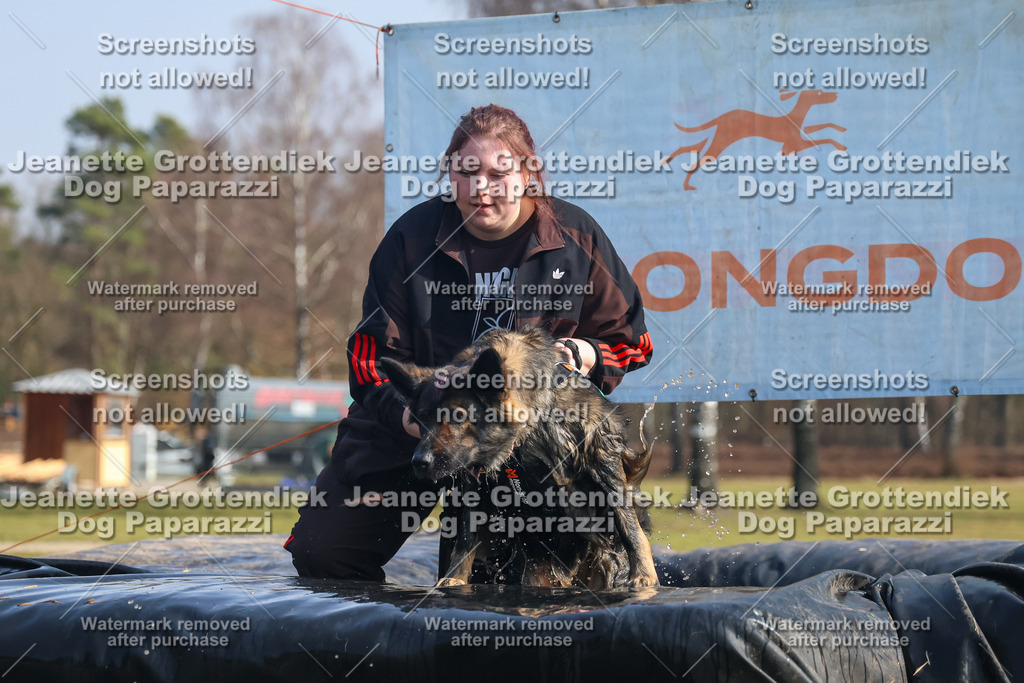 Dog Paparazzi - Strongdog North Mrz26-1880 | Dog Paparazzi Jeanette Grottendiek Fotografie & Videografie - Realisiert mit Pictrs.com