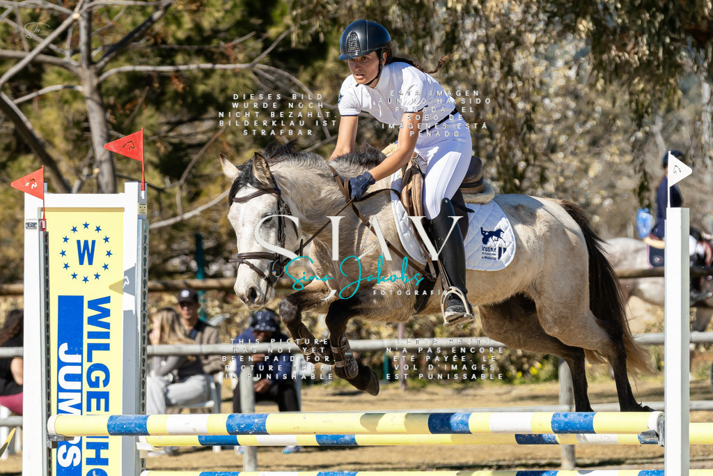 IMG_9202 | s-jay-photography - Realisiert mit Pictrs.com