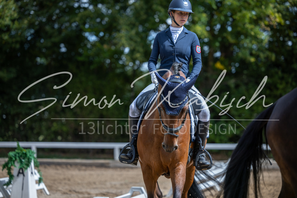 20260905-_3LI8014 | Tierfotografie Pferde, Hunde, Katzen, Haustiere.
Turnierfotografie Reitturniere, Reiten, Springreiten, Dressur in Hanau, dem Main-Kinzig-Kreis und dem Rhein-Main- Gebiet um Frankfurt