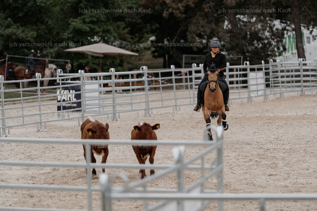 WE__Stoib_Rinder_PI2025_3142 | Pferd International München 2025
