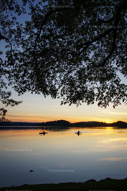Sonnenuntergang im Murnauer Moos am Staffelsee | Sonnenuntergang im Sommer am Staffelsee in der Murnauer Bucht.


(Das Wasserzeichen wird nach Kauf entfernt.) - Realisiert mit Pictrs.com