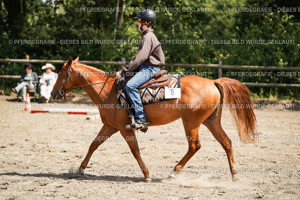 DSC07547 | Pferdegrafie