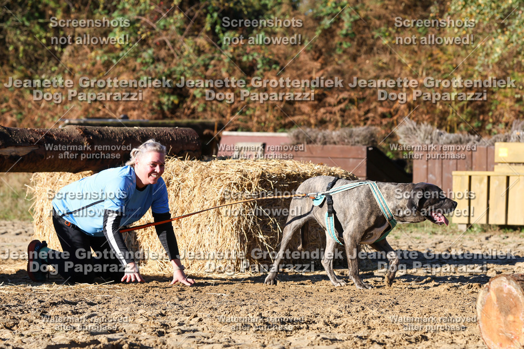 Dog Paparazzi - Strongdog 10-25-1618 | Dog Paparazzi Jeanette Grottendiek Fotografie & Videografie - Realisiert mit Pictrs.com