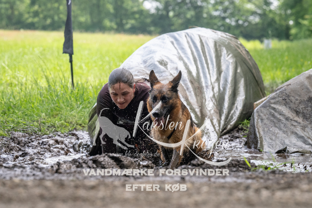 1141_ZZ93845 | kk-dogfotos
