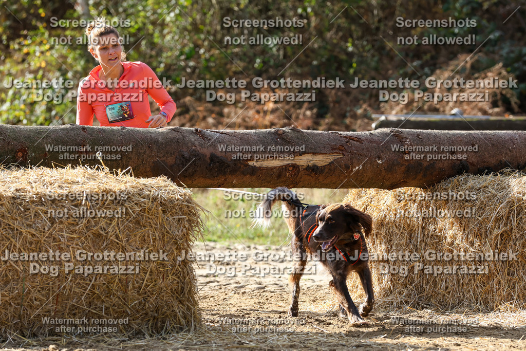 Dog Paparazzi - Strongdog 10-25-5909 | Dog Paparazzi Jeanette Grottendiek Fotografie & Videografie