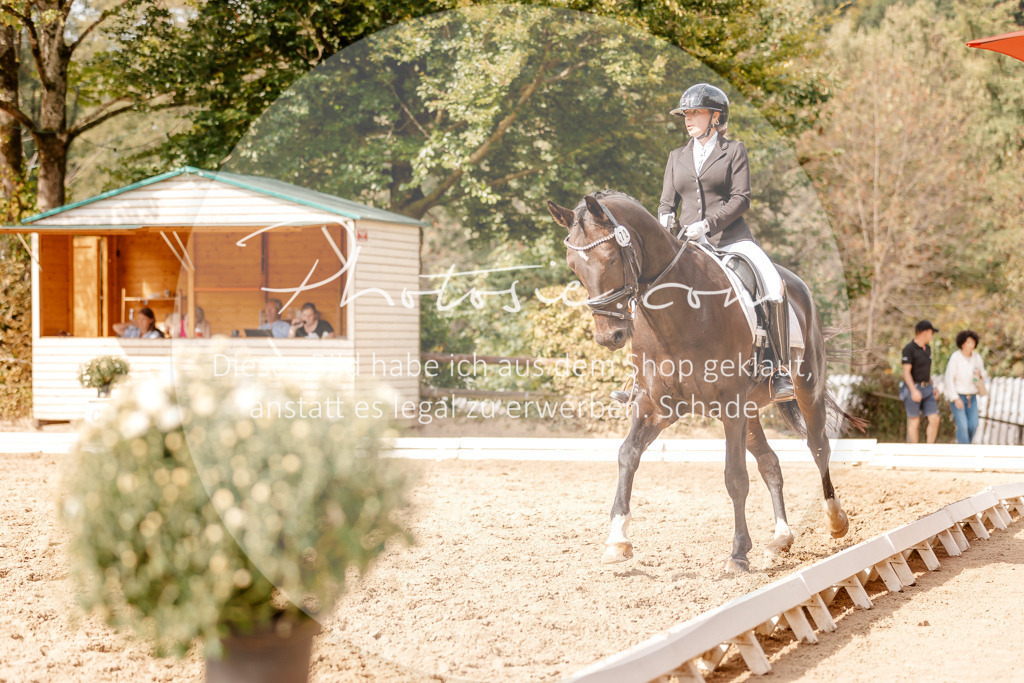 3I6A4150 | Stimmungsvolle Portraits und Reitsportfotografie im Ruhrgebiet und im Münsterland.

Pferdefotografie, Hundefotografie, Tierfotografie, Reportagen, Portraits von Tier und Mensch, Turnierfotografie in Bochum, Recklinghausen, Marl, Haltern am See, Dülmen.. - Realisiert mit Pictrs.com
