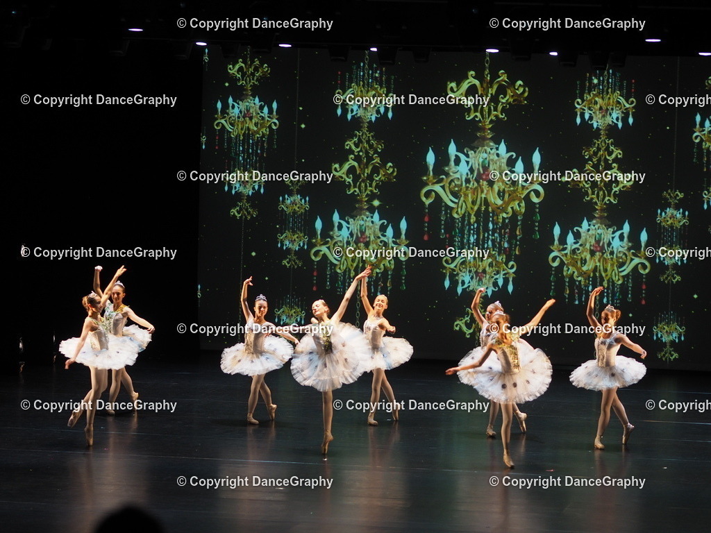 P7260439 | DanceGraphy - Realisiert mit Pictrs.com