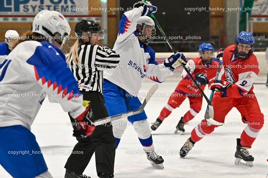 Z9B_7412 | hockey sports photos, Pressefotos, Sportfotos, hockey247, win 2day icehockeyleague, Handball Austria, Floorball Austria, ÖVV, Kärntner Eishockeyverband, KEHV, KFV, Kärntner Fussballverband, Österreichischer Volleyballverband, Alps Hockey League, ÖFB, 