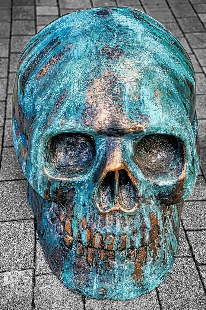 Skull | Entdecken Sie Fotografie aus Leidenschaft: Auftragsfotografie, HD-Fotos, Geschenkartikel aus Ihren Bildern und vieles mehr. Beauftragen Sie uns für besondere Momente!