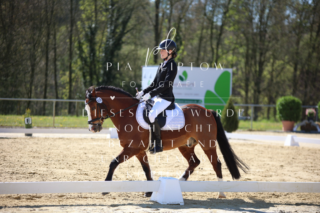 IMGT0073 | pl-fotografie