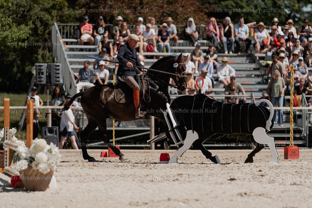 WE_SP_Stoib_320_PI2025_1721 | Pferd International München 2025