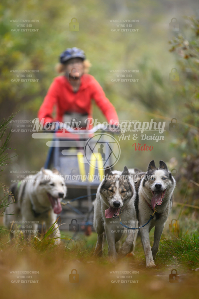 MompixPhotography_20TSB_E4_Kart-29 | PayLife
