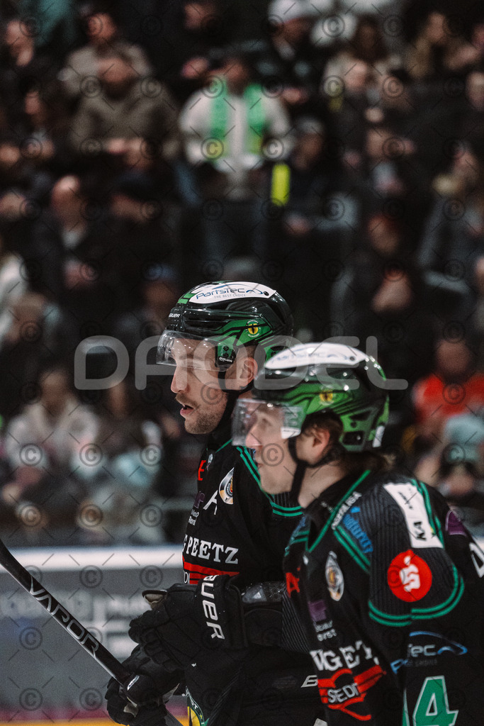 Alligators_vs_Heilbronn_08_02_2026-24 | Höchstadt Alligators Fotogalerie: Eishockey-Action aus Franken. Professionelle Spielfotos, Portraits & Stadionbilder zum Download. Jetzt entdecken! - Realisiert mit Pictrs.com