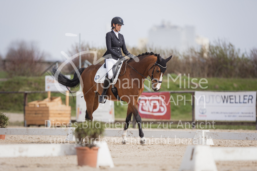 230410_Frühlingsfest_DressurWBE1-200 | Deine schönsten Turniermomente als professionelle Fotos! Entdecke hochwertige Pferdesport-Fotografie im Online-Shop. Jetzt Fotos finden & bestellen!