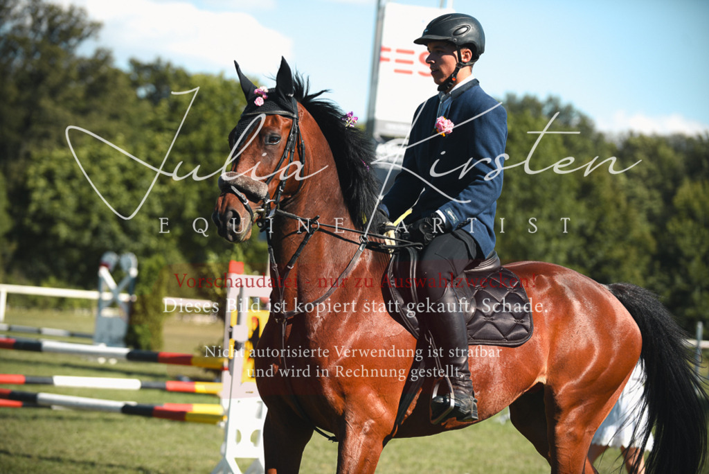 DSC_7723 | Pferde- und Turnierfotografie in Westsachsen. Pferdeportraits, Auftragszeichnungen und intuitive Kunst.