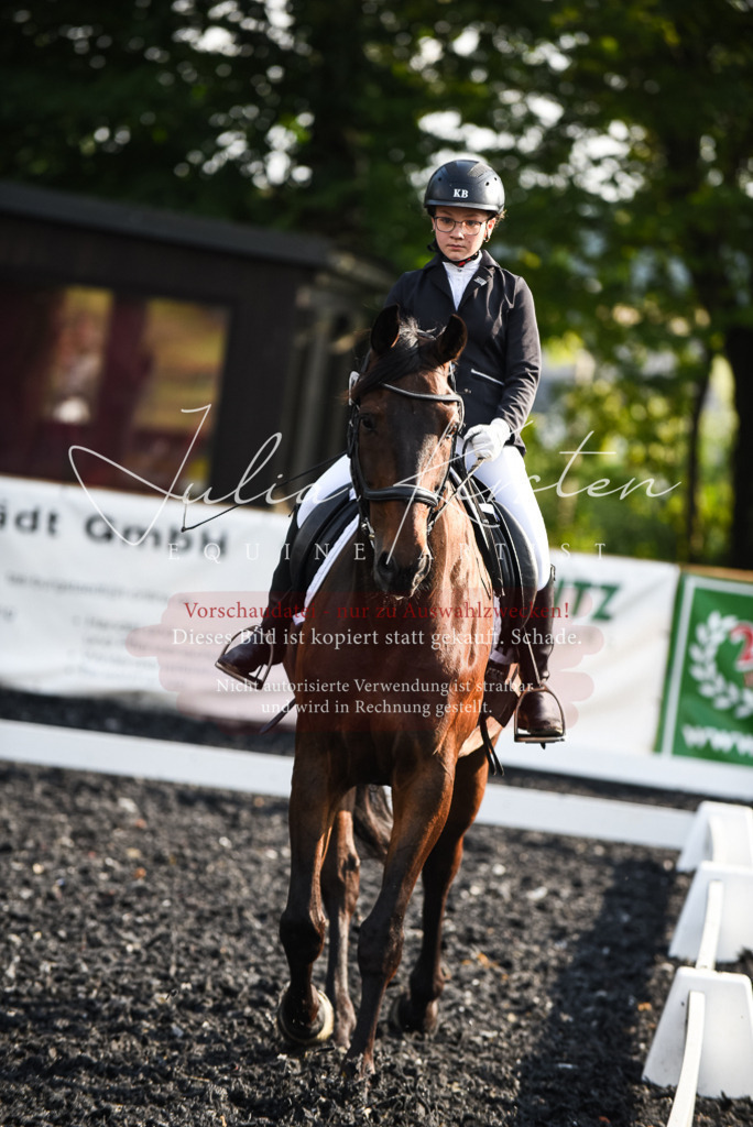 DSC_3288 | Pferde- und Turnierfotografie in Westsachsen. Pferdeportraits, Auftragszeichnungen und intuitive Kunst.