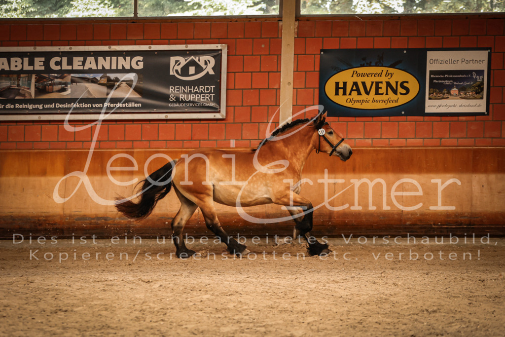 SaFL00114 | Leoni Ertmer Photography - Realisiert mit Pictrs.com