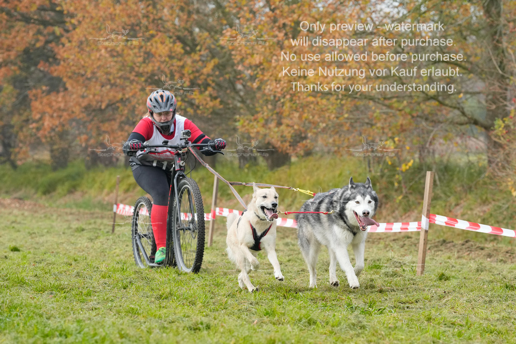 Visbeck_Sa_DS2DR2-127 | stephaniefillaphotographie - Realisiert mit Pictrs.com