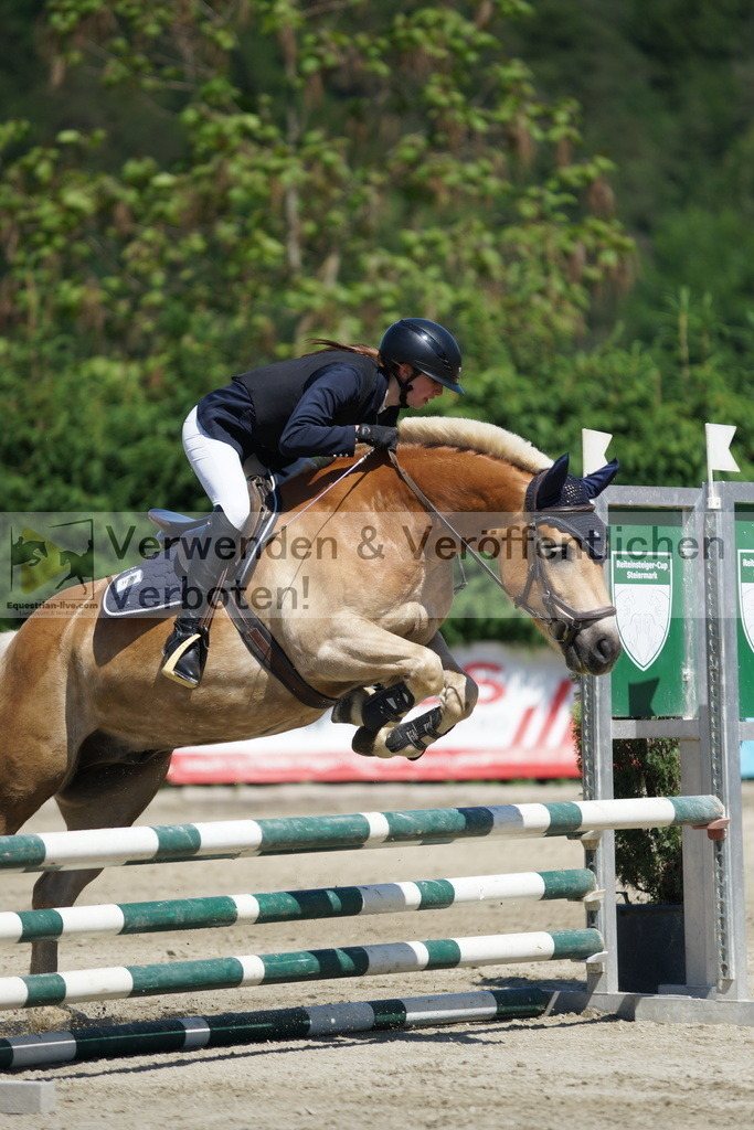 DSC06268 | equestrian-live-com
