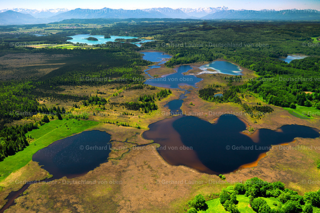 9101629 | Lustsee, Gartensee