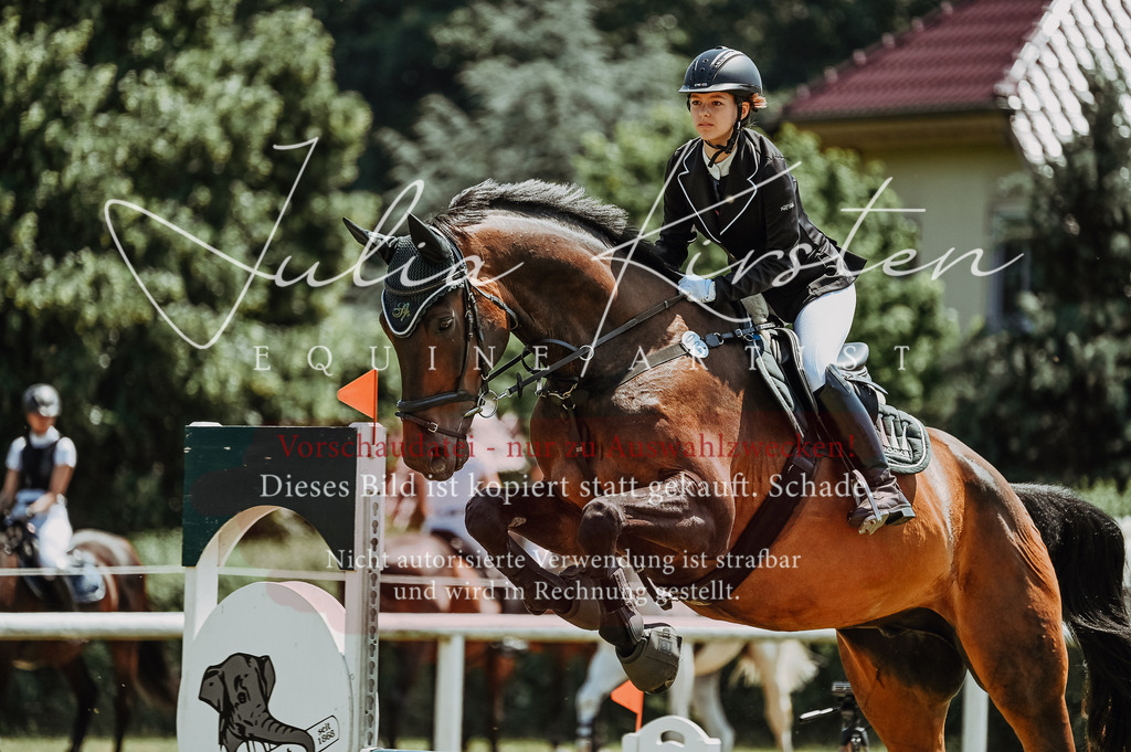 DSC_0152 | Pferde- und Turnierfotografie in Westsachsen. Pferdeportraits, Auftragszeichnungen und intuitive Kunst.