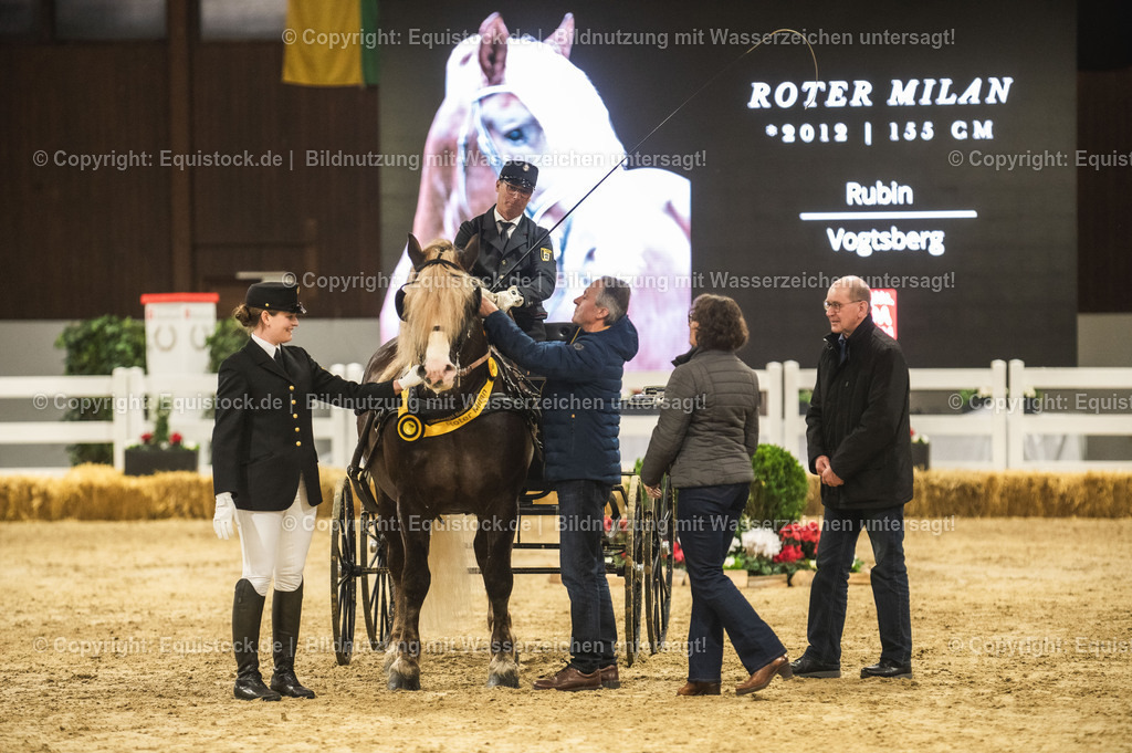 20240302_Hengstvorstellung_Marbach_TOMsPiC_0655 | equistock