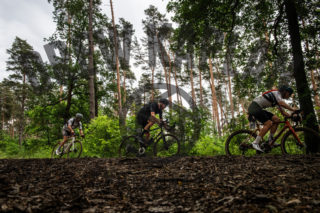 DKP-4635 | Drew Kaplan Photography