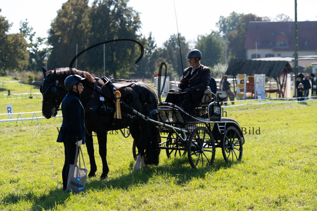 A7V04293 | Pferdefotograf