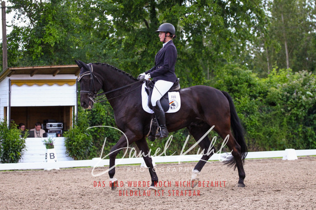 DKP41166 | Turnierfotos kaufen im Webshop von Daniel Kuhl Photography – entdecke professionelle Reitsportfotos aus Turnieren & Events. Hochwertige Turnierbilder online bestellen & sichern. Jetzt Fotos von Reitsportturnieren kaufen!